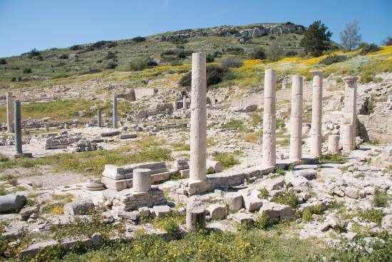 Ruines d'Amathonte