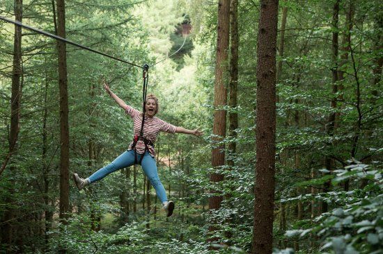 Go Ape Matfen