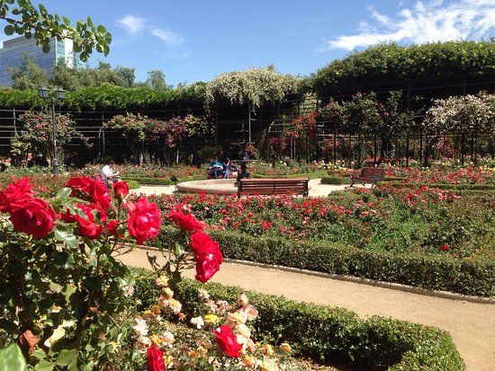 Araucano Park