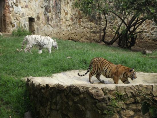 Zoológico de Cali