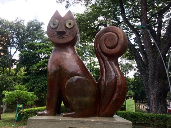 El Gato del Río