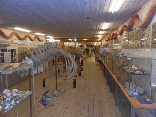 Museo del Mar
