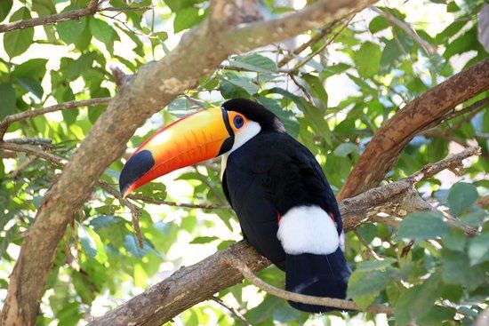 Santa Cruz Zoo