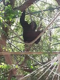 Zoo de Naples
