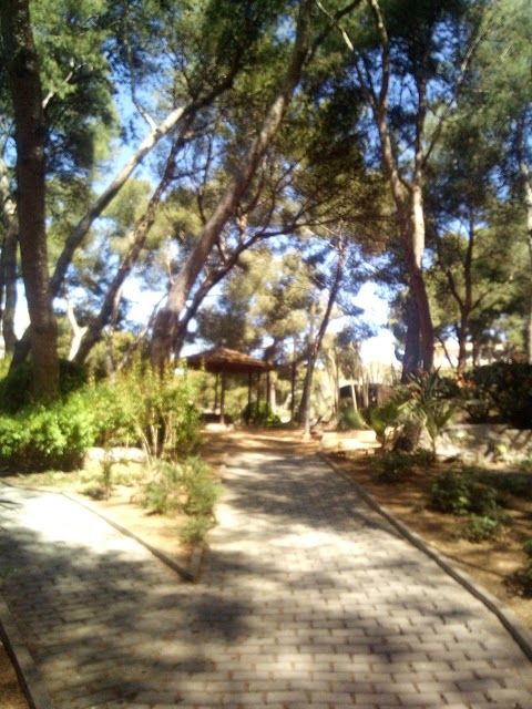 Parc municipal