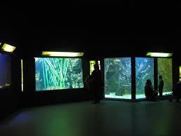 Aquarium von Lyon