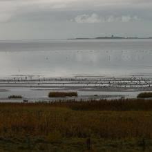 Sahlenburger Heide