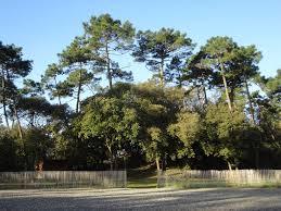 Parc des Floralies