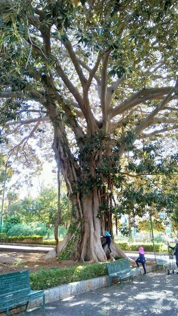 Giardino Inglese