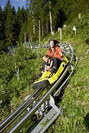 Arena Coaster