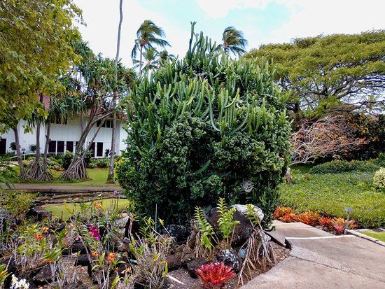 Moir Gardens