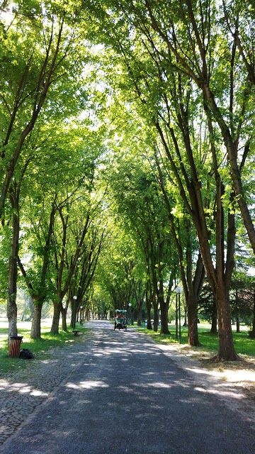 Botanik Park