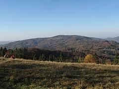 Orlowa
