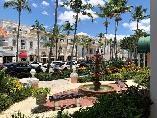 Fifth Avenue South