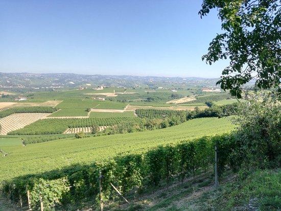 Il Belvedere