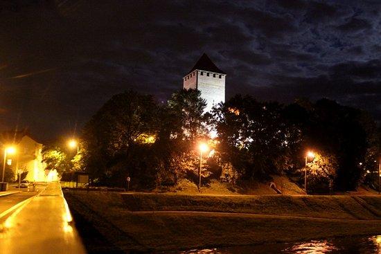 Defense Tower