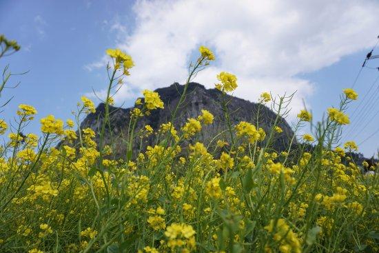 Sanbangsan Mountain