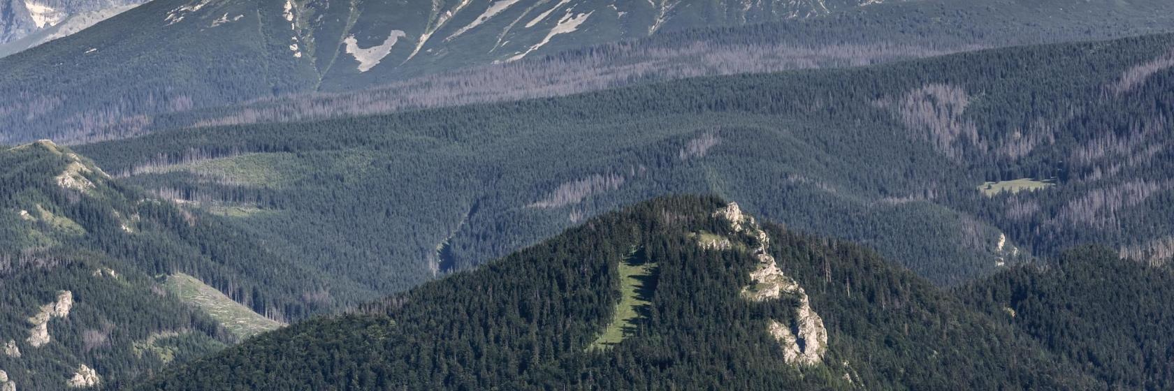 Montaña Nosal