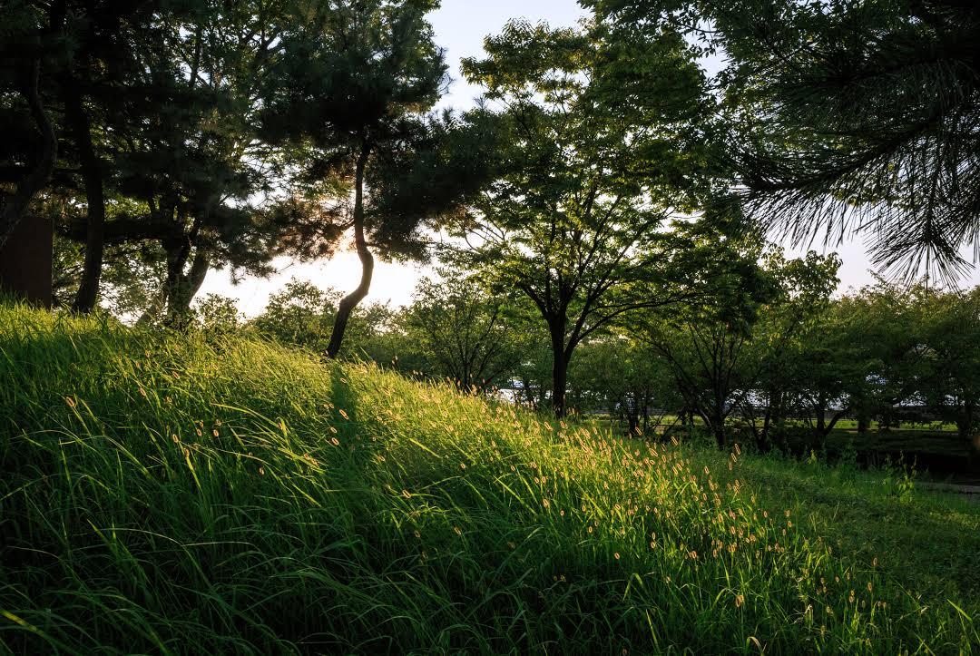 Mount Tenpo