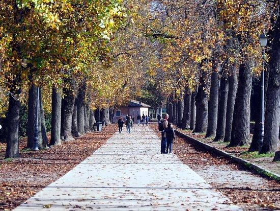 Mura di Lucca