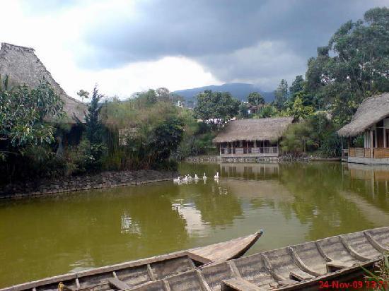 Sapu Lidi