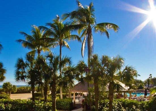 Turtle's Pool & Beach Bar
