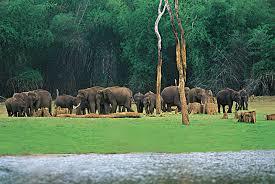 Thekkady