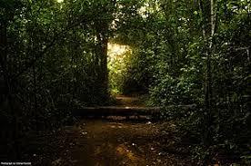 Bhoothathankettu