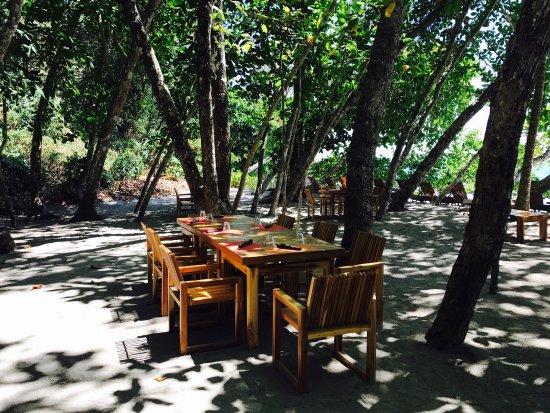 Playitas Restaurant and Bar