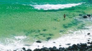 Burleigh Beach