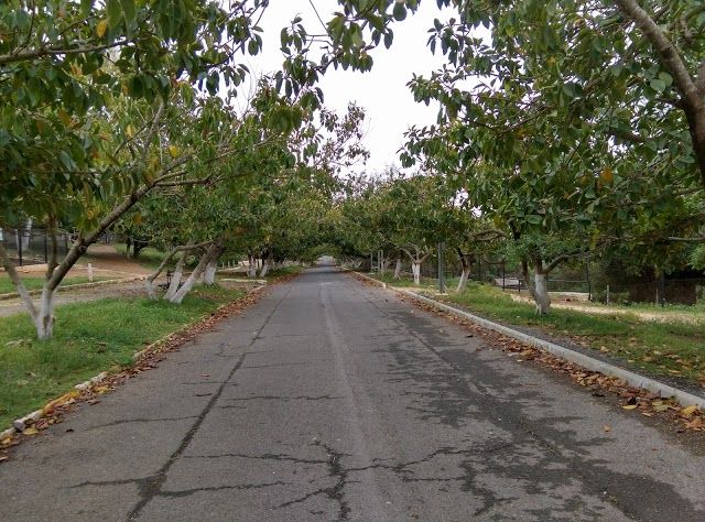 Parc de Ben Aknoun