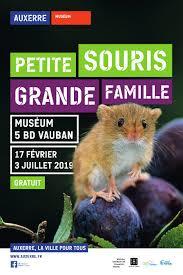 Museum