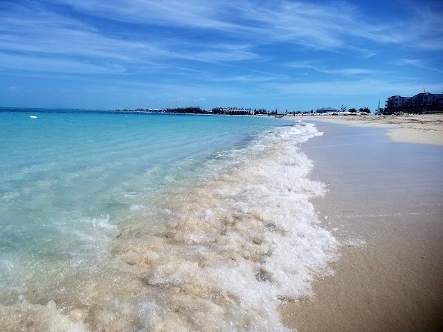 The Bight Park