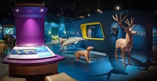 Espace des Sciences