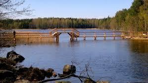 Malonsaari