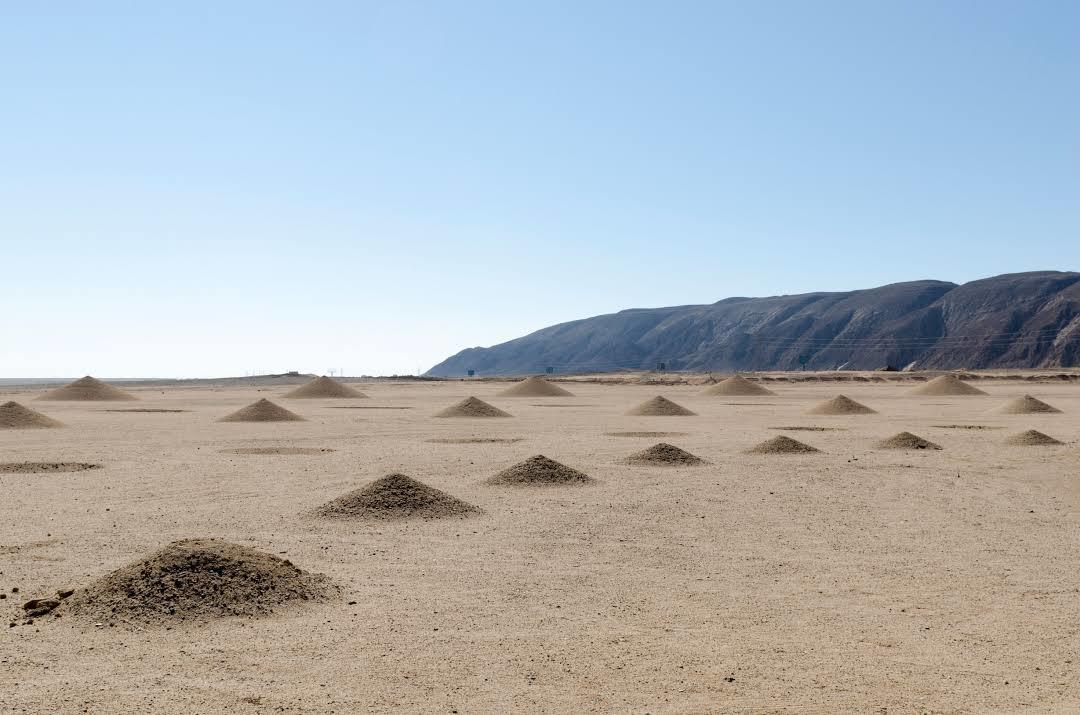 Desert Breath