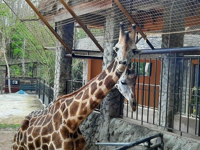 Emperor Valley Zoo