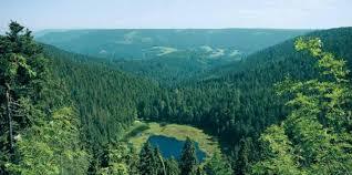 Huzenbacher See