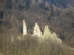 Selva Castle
