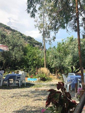 Gozde Cafe