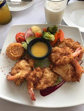 Jungle Fish