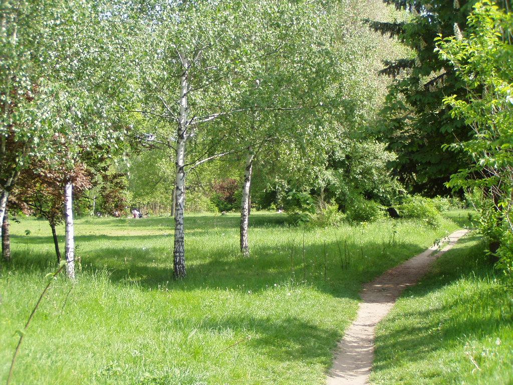 Rose Valley