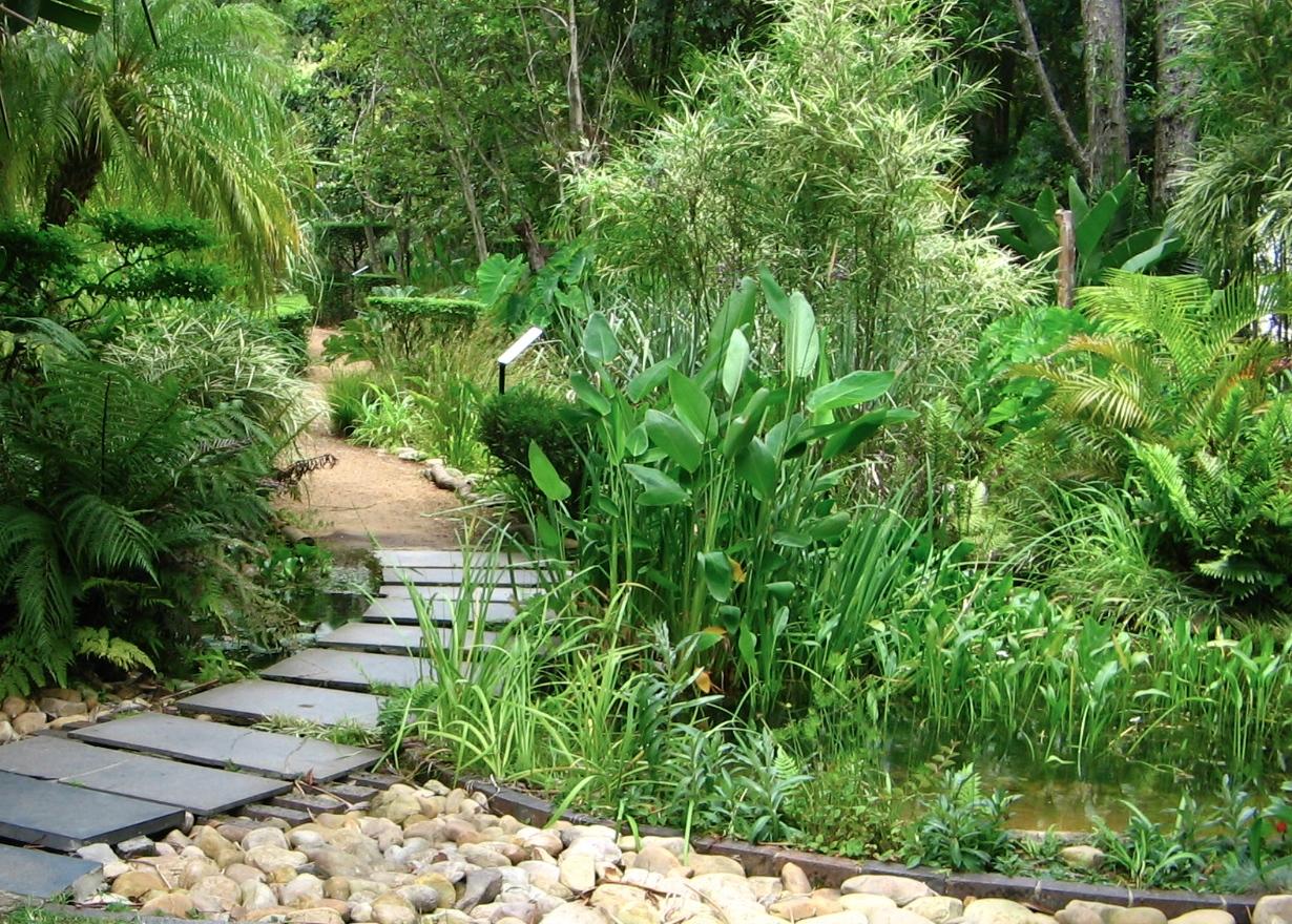 Jardin botanique de l'université de Stellenbosch
