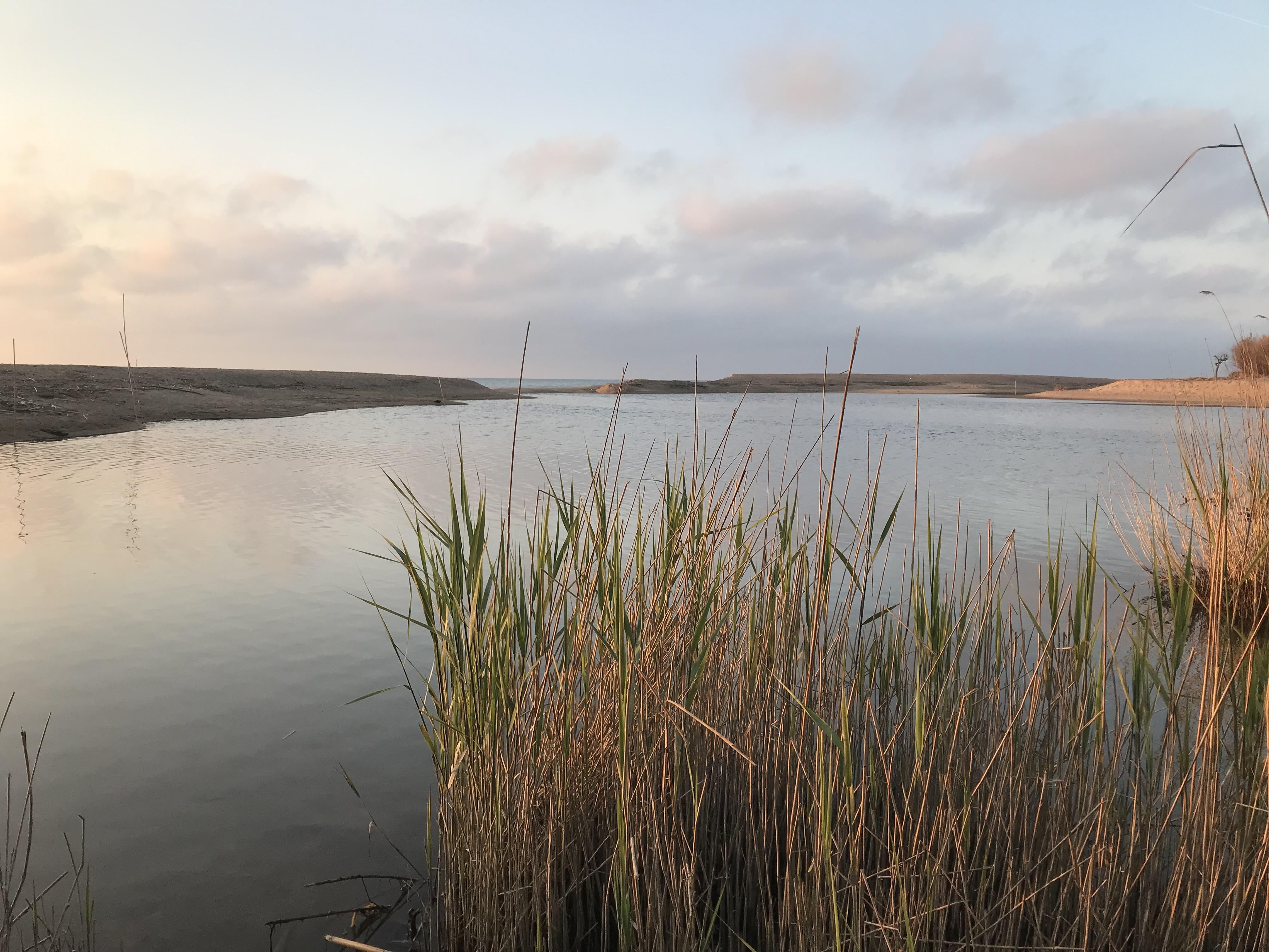 Delta del Tordera