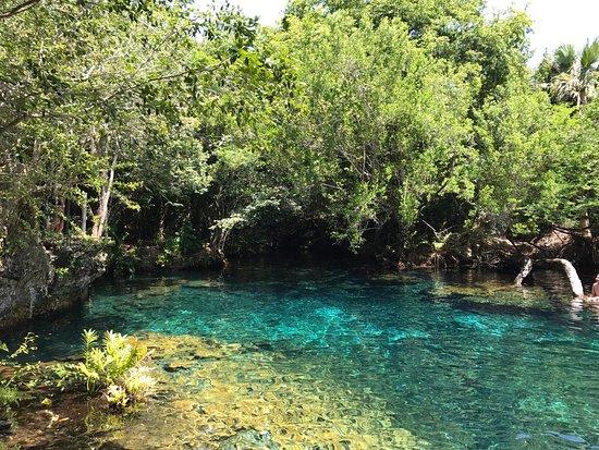 Reserva Ecologica Ojos Indigenas