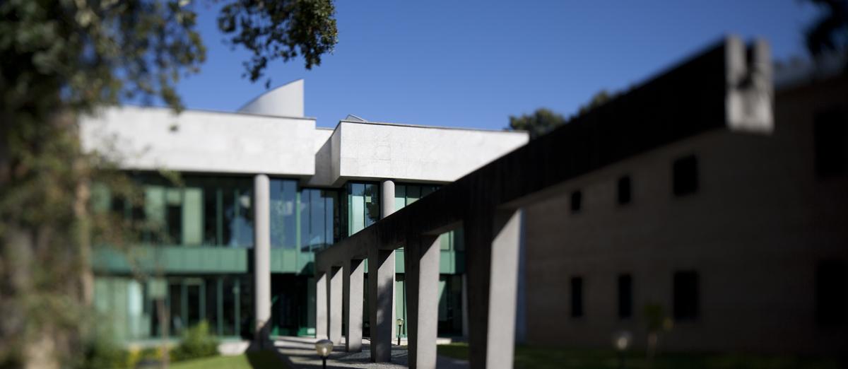 Institut polytechnique de Porto