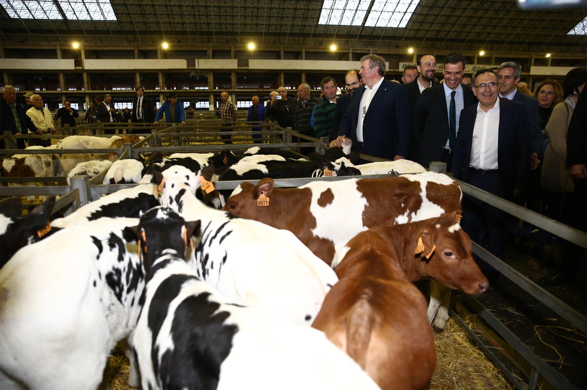 Mercado Nacional de Ganados Jesús Collado Soto