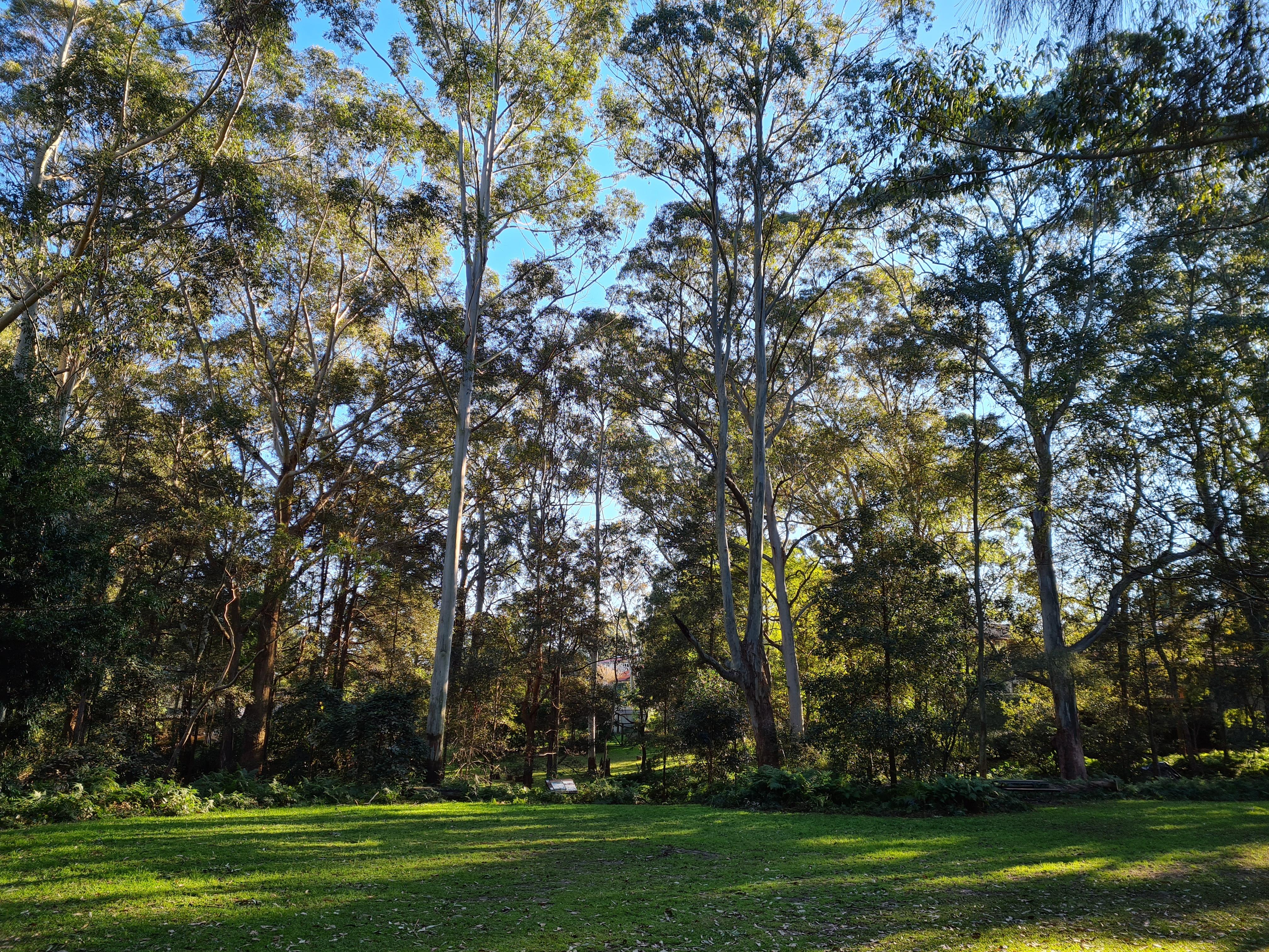 Ferndale Park