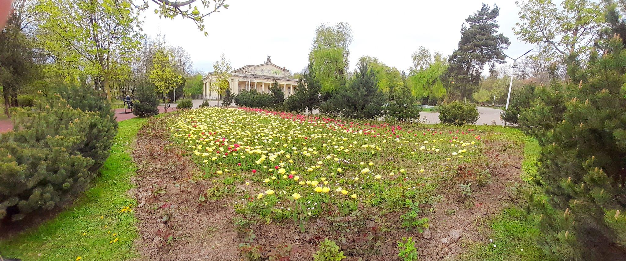 Bazilescu Park