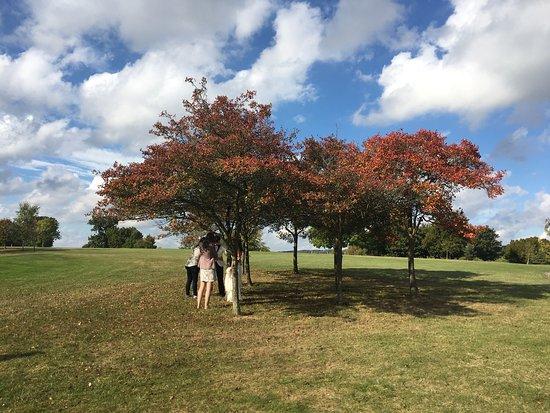 Bearsted Golf Club